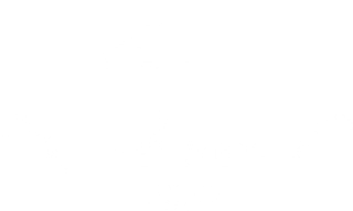 reymey logo image with a clear background